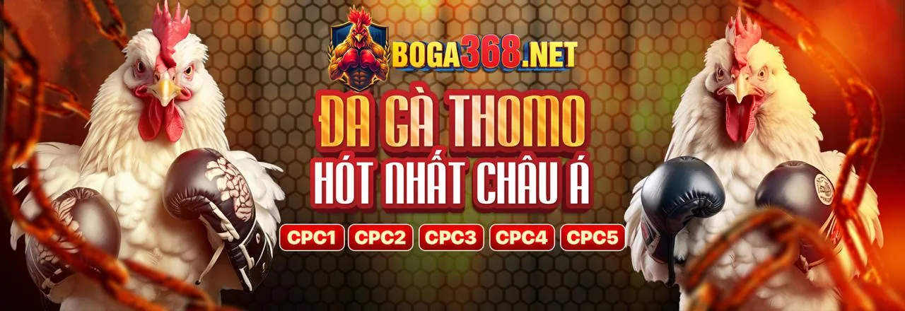 Cá Cược Thể Thao Trực Tuyến qq8 login